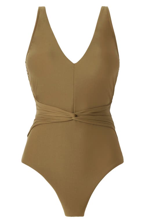 Magicsuit Solid Esti One Piece Swimsuit In Taro