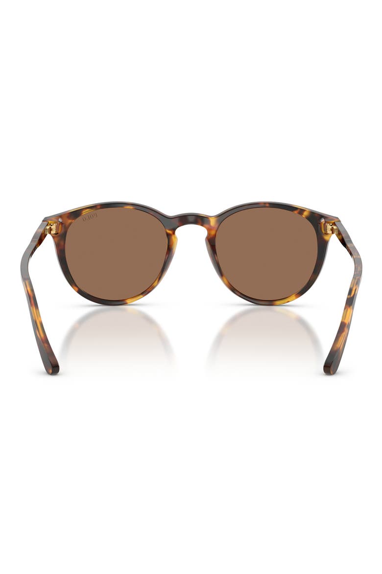 50mm Phantos Sunglasses, Alternate, color, SHINY ANTIQUE HAVANA / BROWN