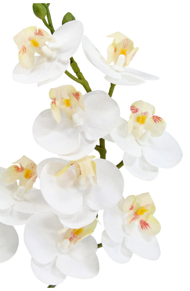 CG Hunter Artificial 2-Stem Phalaenopsis White Orchid, Alternate, color, White