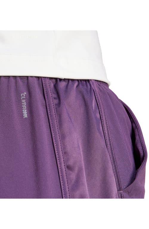 Adidas Originals Adidas Tennis Pro Climacool Shorts In Purple