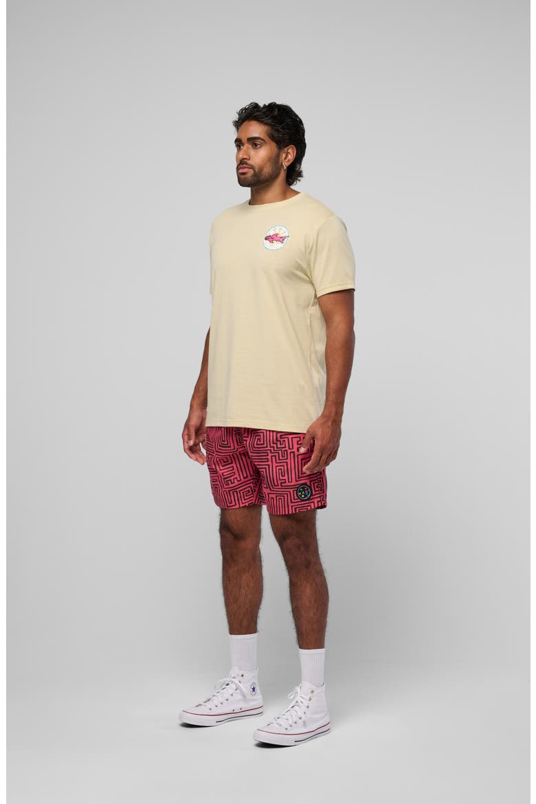 Aggro Logo Graphic T-Shirt, Alternate, color, SAND