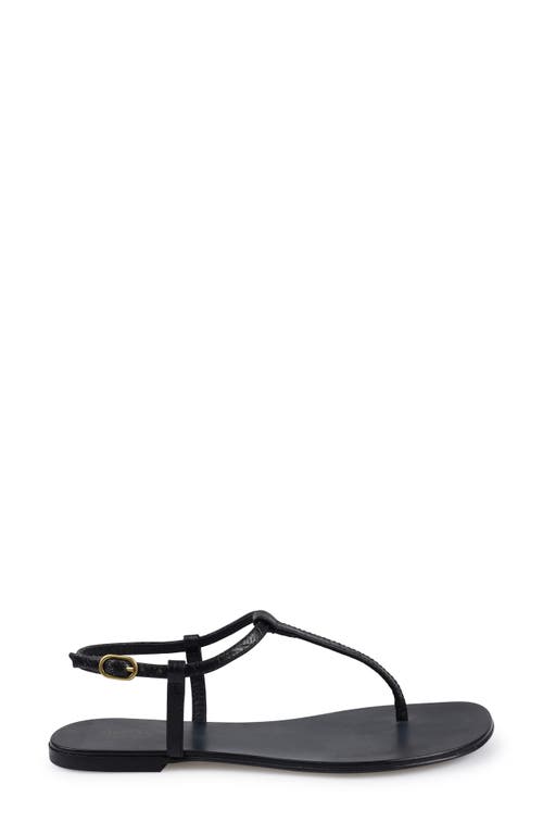 Artisan Crafted By Zigi Ankle Strap Sandal In Black