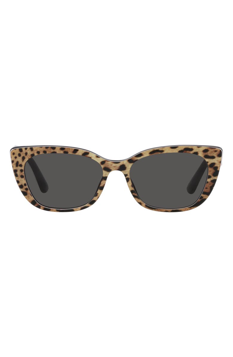 Dolce&Gabbana 49mm Small Cat Eye Sunglasses, Main, color,
