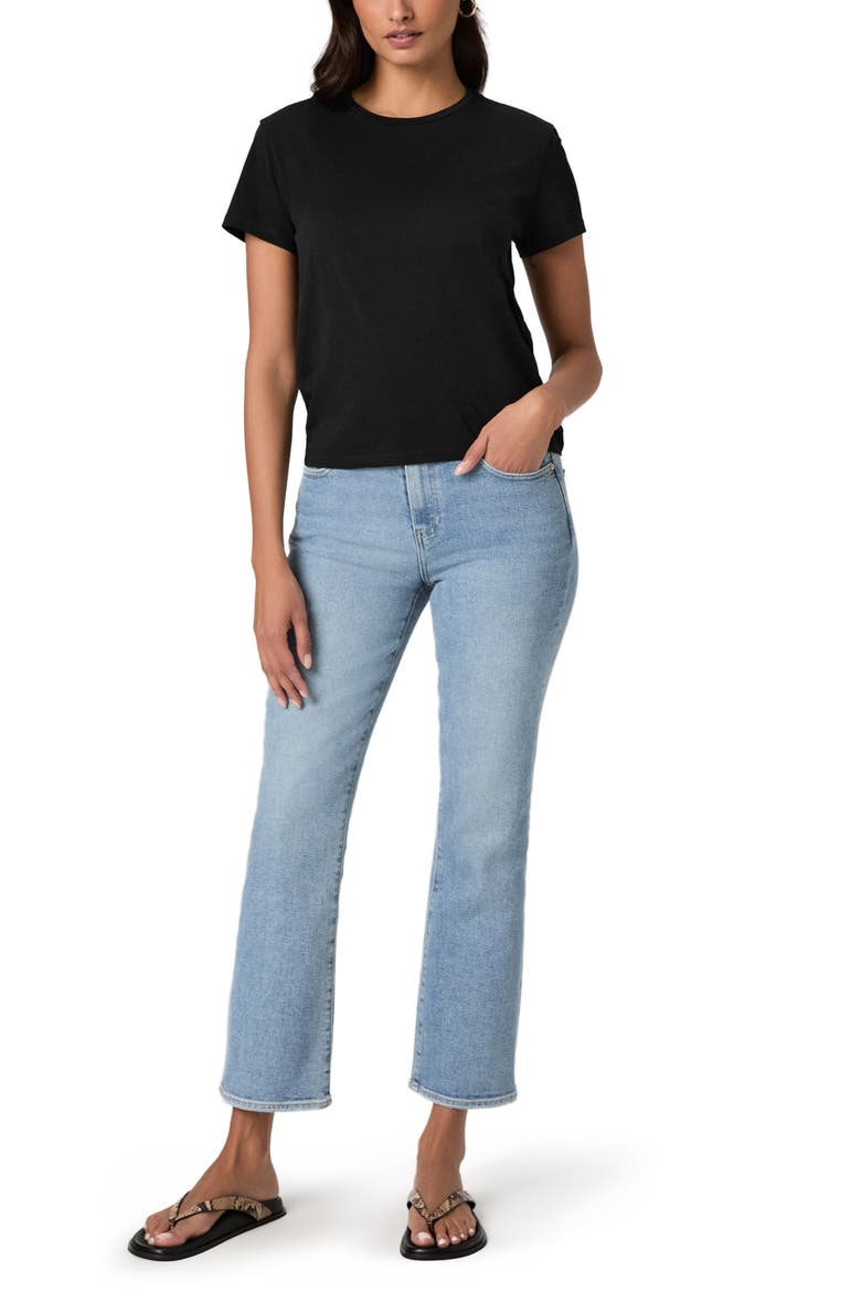 Haven Pima Cotton T-Shirt, Alternate, color, BLACK