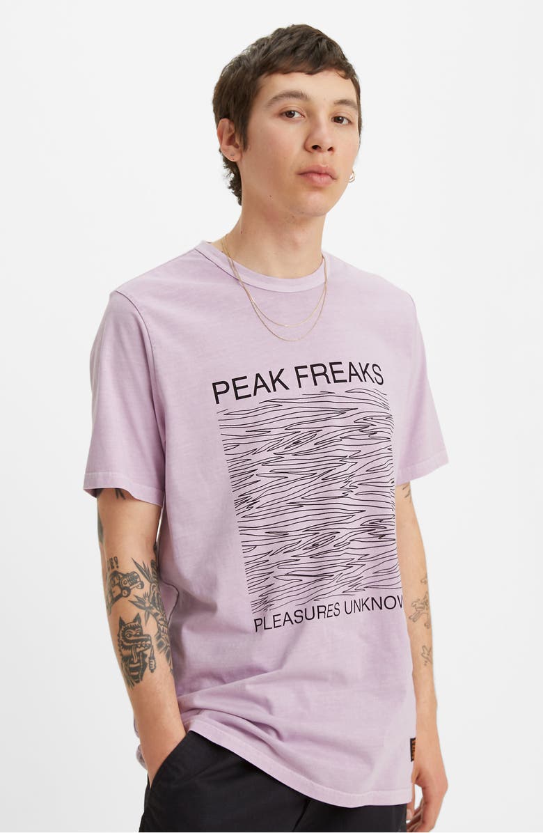 Levi's<sup>®</sup> Peak Freaks Skate Graphic Tee, Alternate, color,