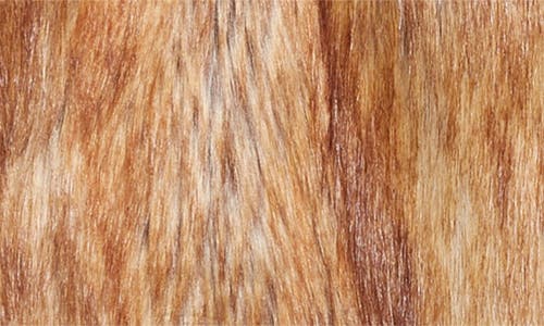 Akris Punto Coat Faux Fox Stand Up Colla In Brown