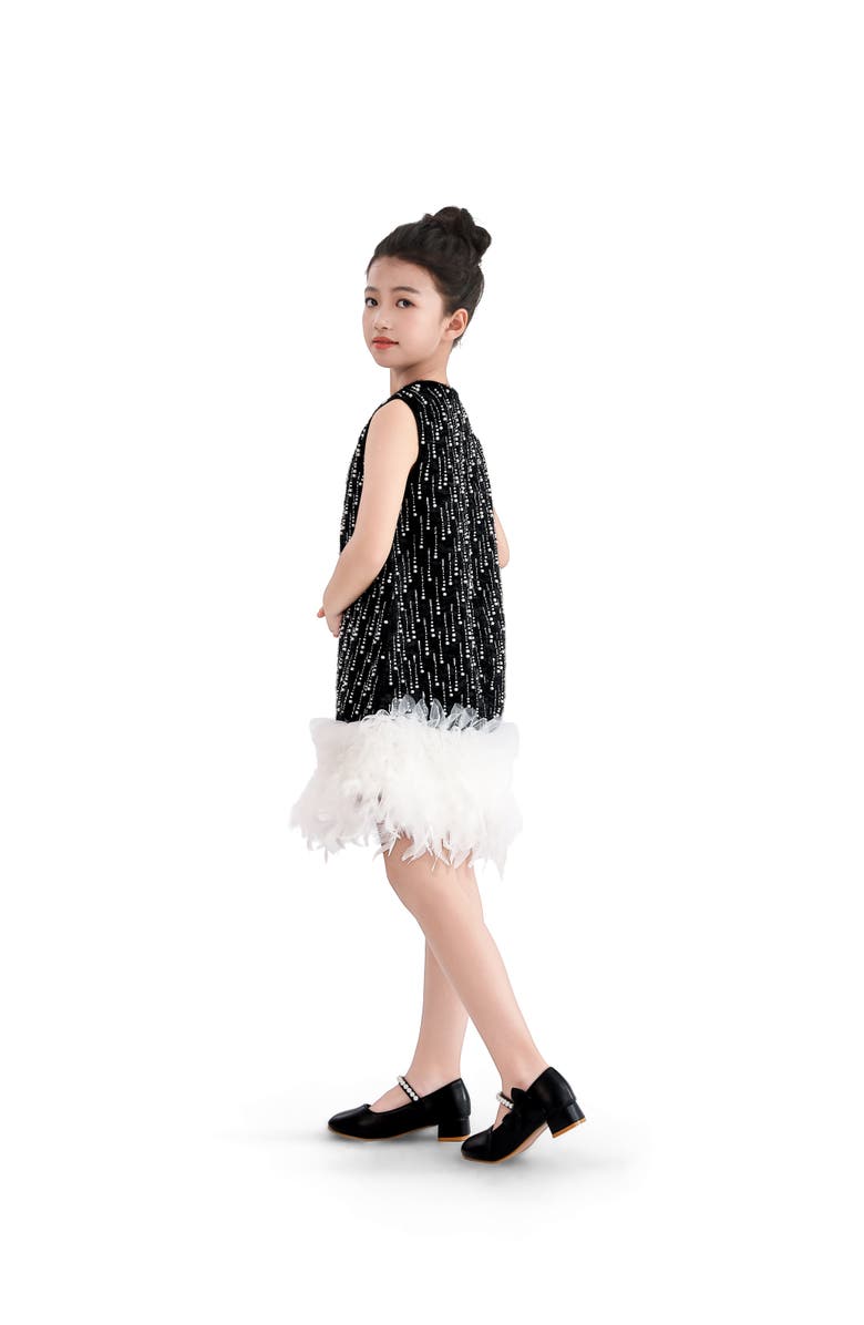 Tulleen Feathered Glam Dress, Alternate, color, Black