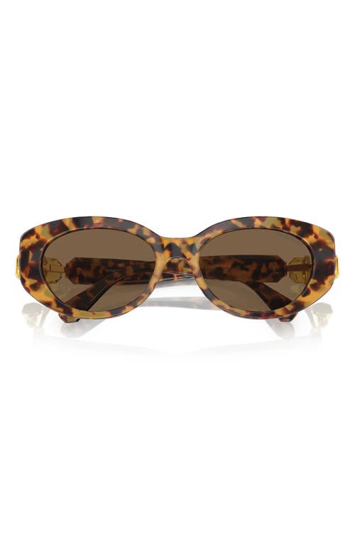 Swarovski 53mm Oval Sunglasses In Lite Havana