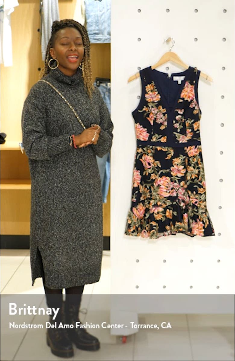 Kaylea Sleeveless Embroidered Minidress, sales video thumbnail