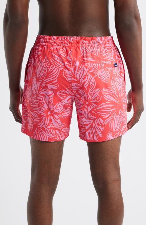 Chubbies Raz-matazz 5.5-inch Swim Trunks