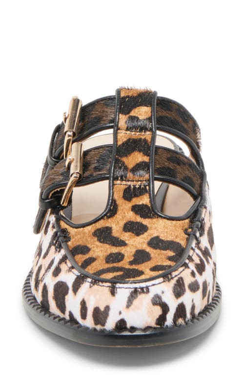 Dolce Vita Haydee Double Buckle Mary Jane Mule