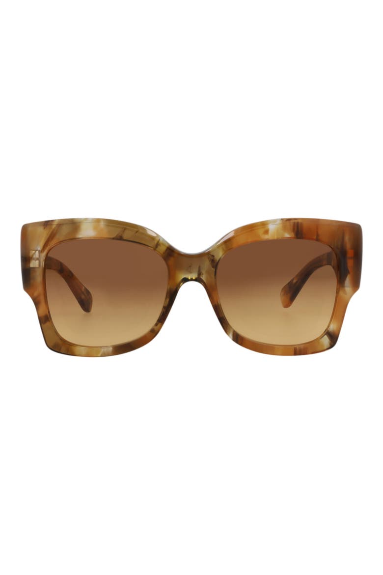 55mm Square Sunglasses, Main, color, HAVANA HAVANA BROWN