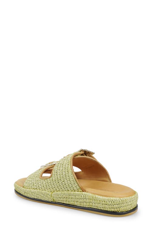 Zigi Artisan Reedie Two-strap Sandal In Green