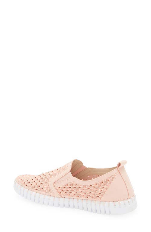 Ilse Jacobsen Tulip Slip-on Sneaker In Adobe Rose