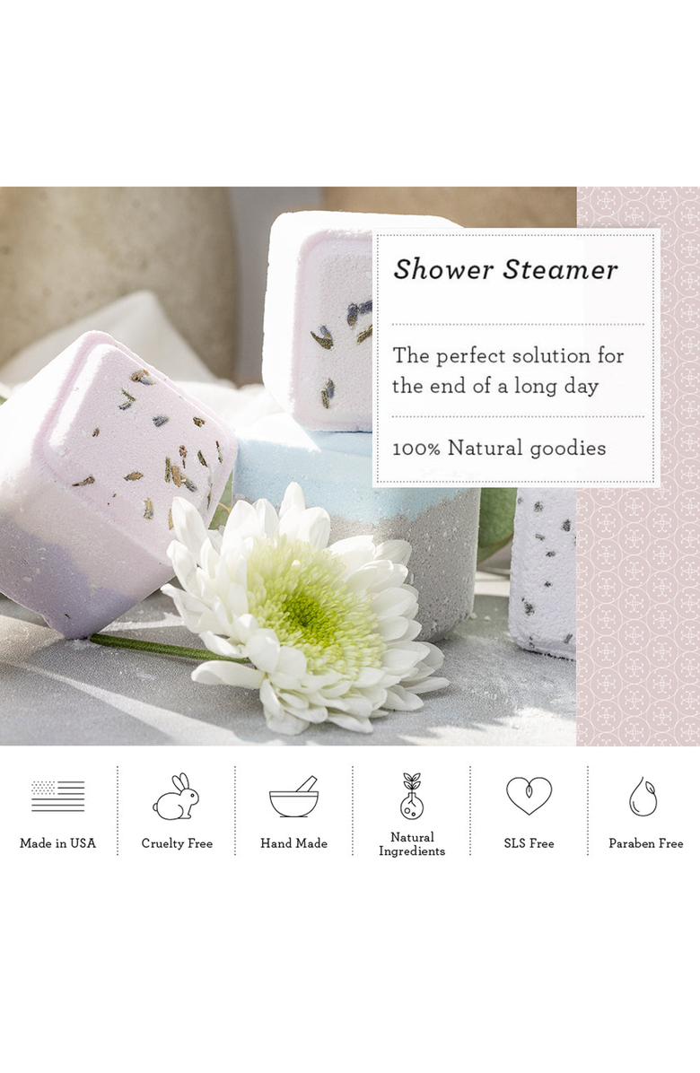 Lizush Winter Care Package Set, Alternate, color, No Name