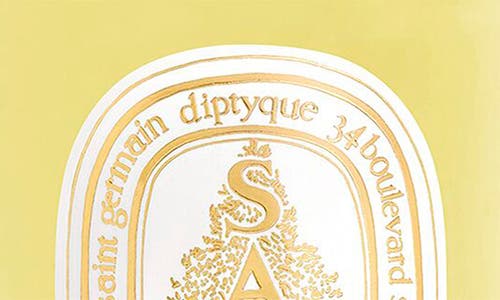 Diptyque Sapin (pine Tree) Room Spray In Transparent