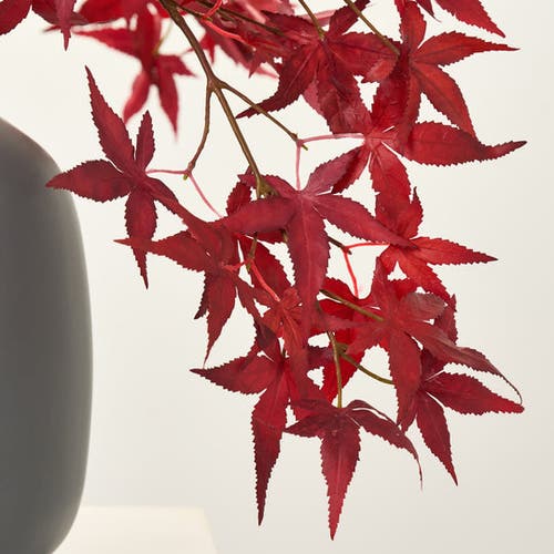 Darby Creek Trading Red Japanese Maple Leaf Fall Tabletop Arrangement In Red