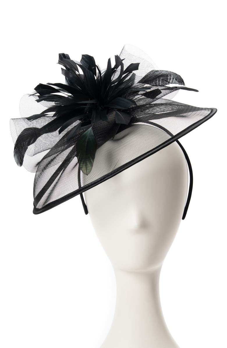 Collection XIIX Net & Feather Fascinator, Main, color, 