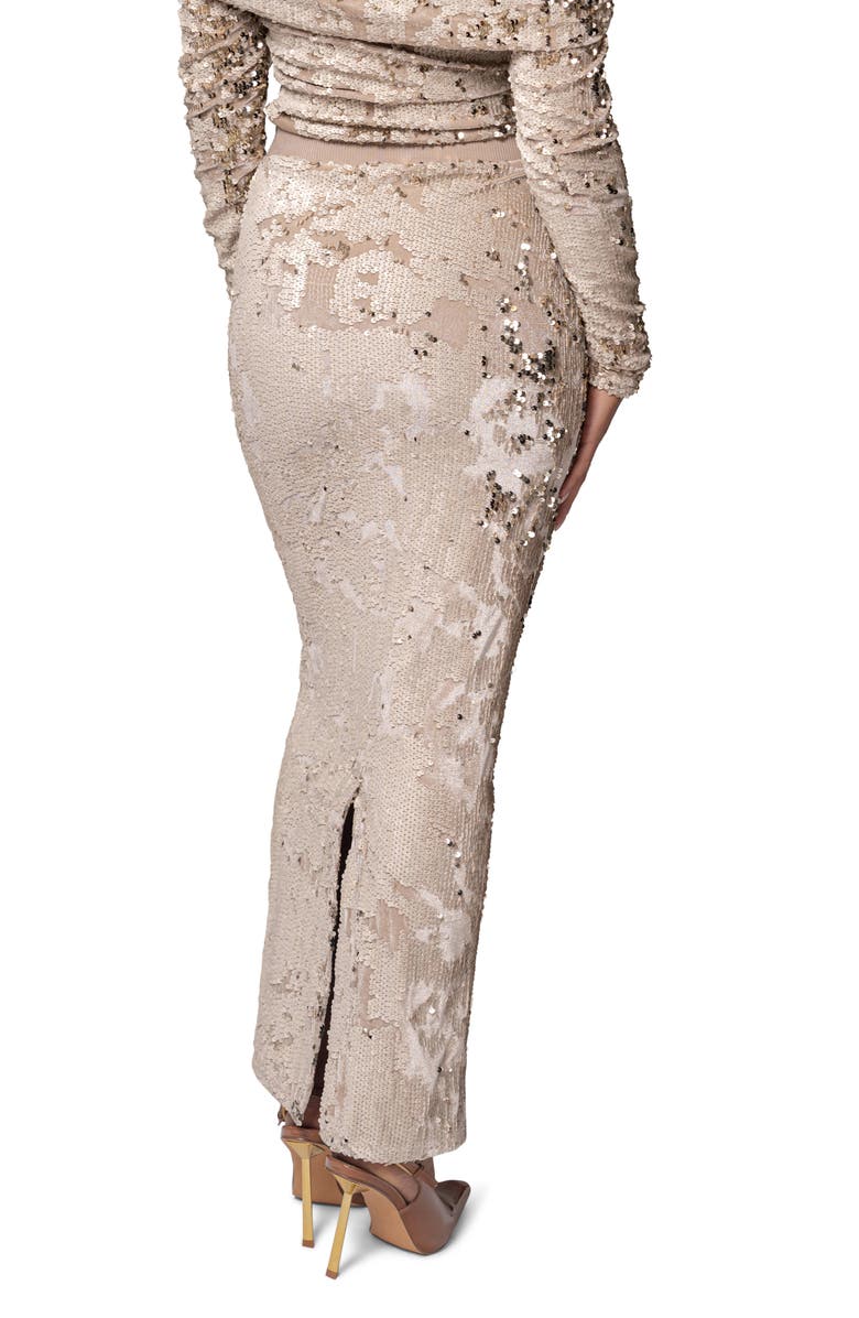 JLUXLABEL Stone Impressions Sequin Velvet Skirt, Alternate, color, 