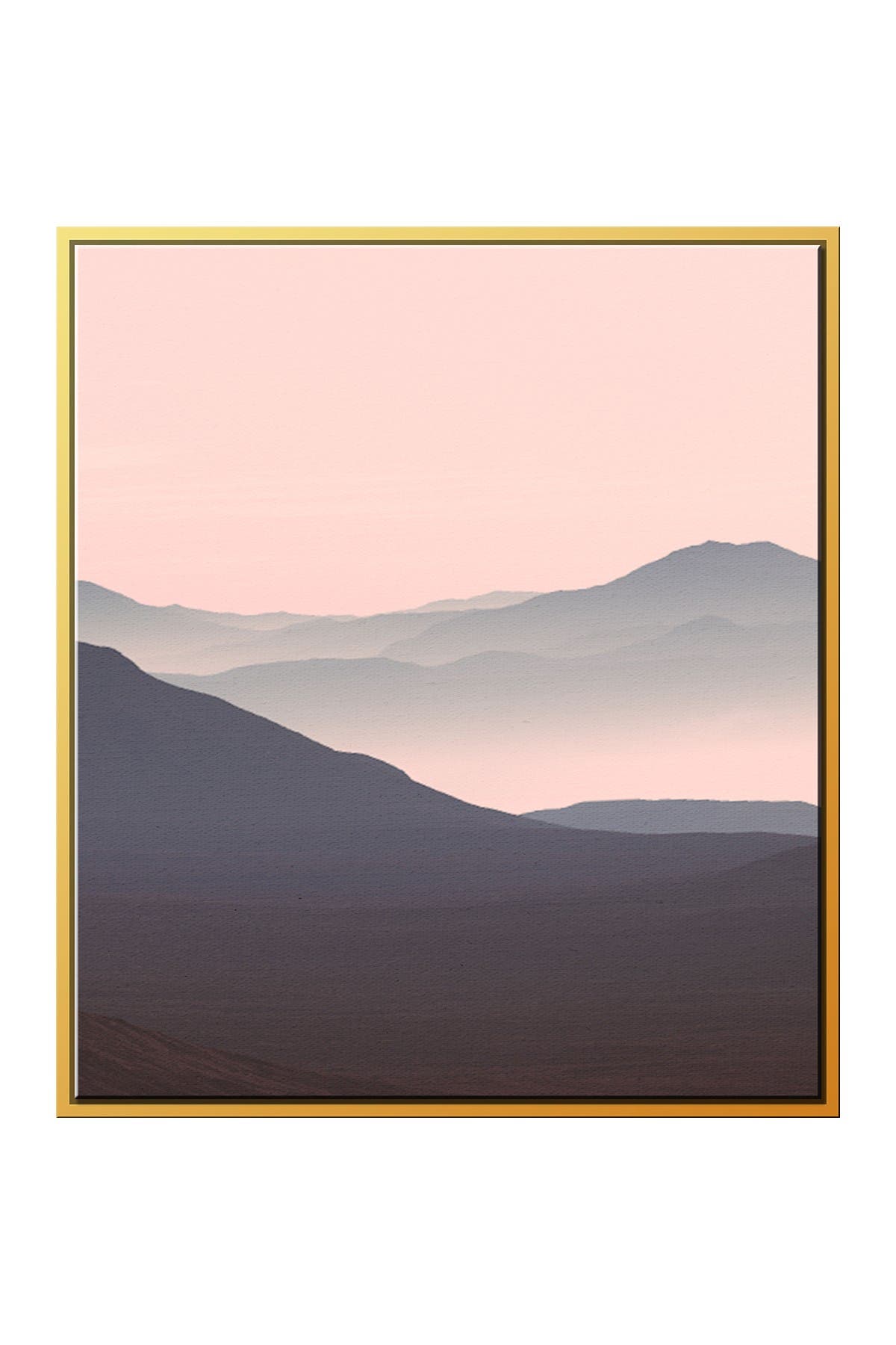 Sunset Time Frame PTM IMAGES Pink Sunset I with Floater Frame | Nordstromrack
