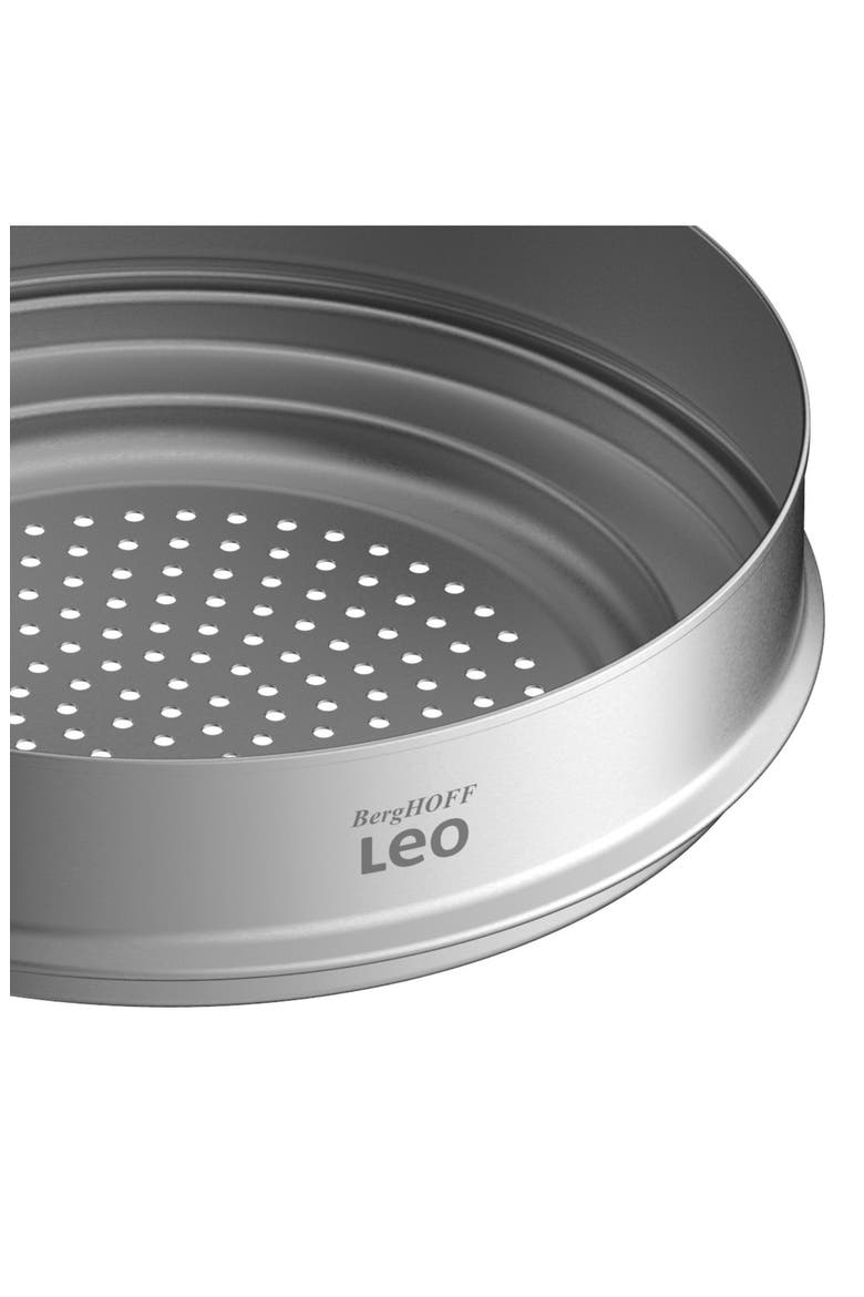 Leo Graphite 10-Inch Steamer, Alternate, color, GREY