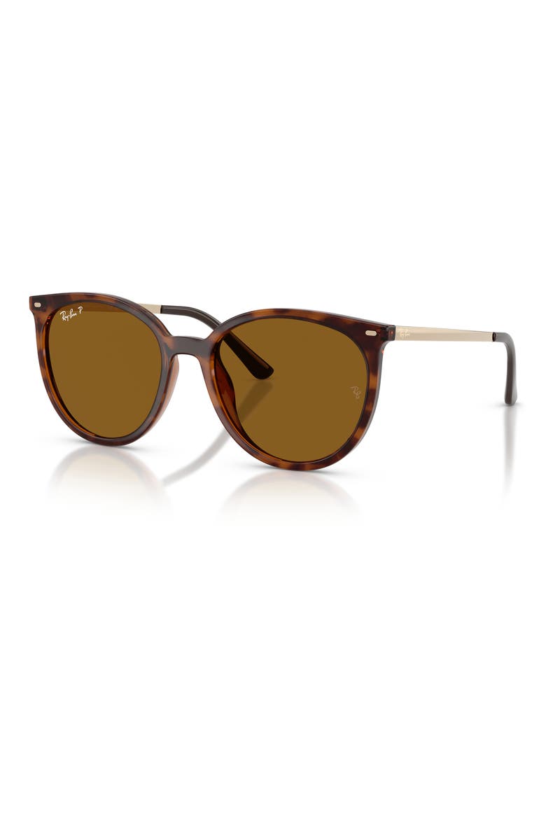 RB4464L 54mm Polarized Round Sunglasses, Alternate, color, DARK HAVANA / DARK BROWN POLAR