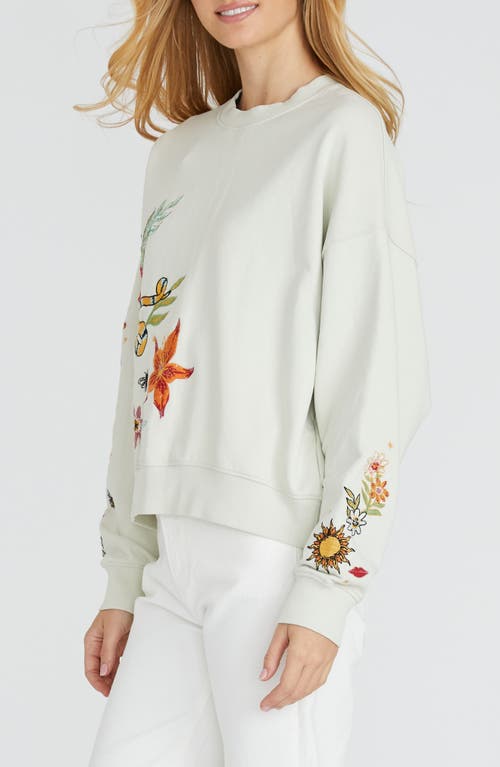 Driftwood Teddy Hawaii Hallucination Cotton Sweatshirt In Neutral