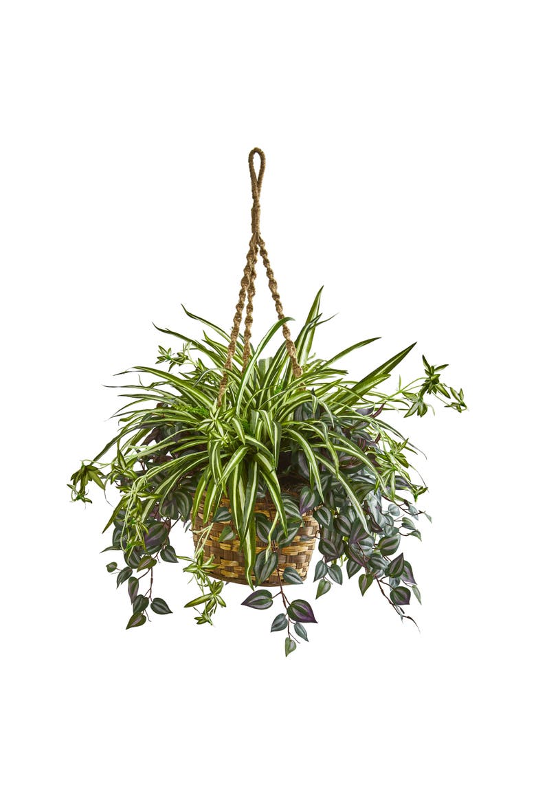 30-in Wandering Jew & Spider Artificial Plant in Hanging Basket, Main, color, Green
