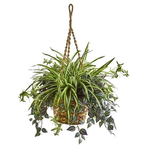 30-in Wandering Jew 
Spider Artificial Plant in Hanging Basket