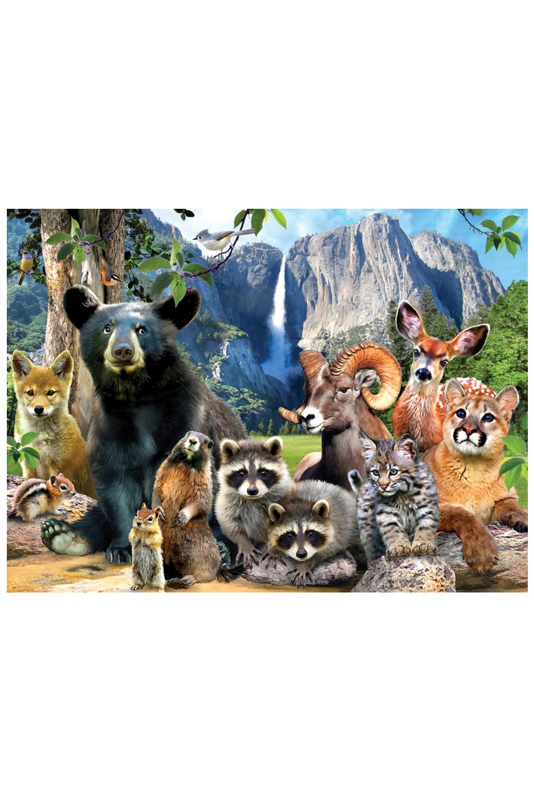 Wildlife of Yosemite 100pc Puzzle, Alternate, color, Multicolor