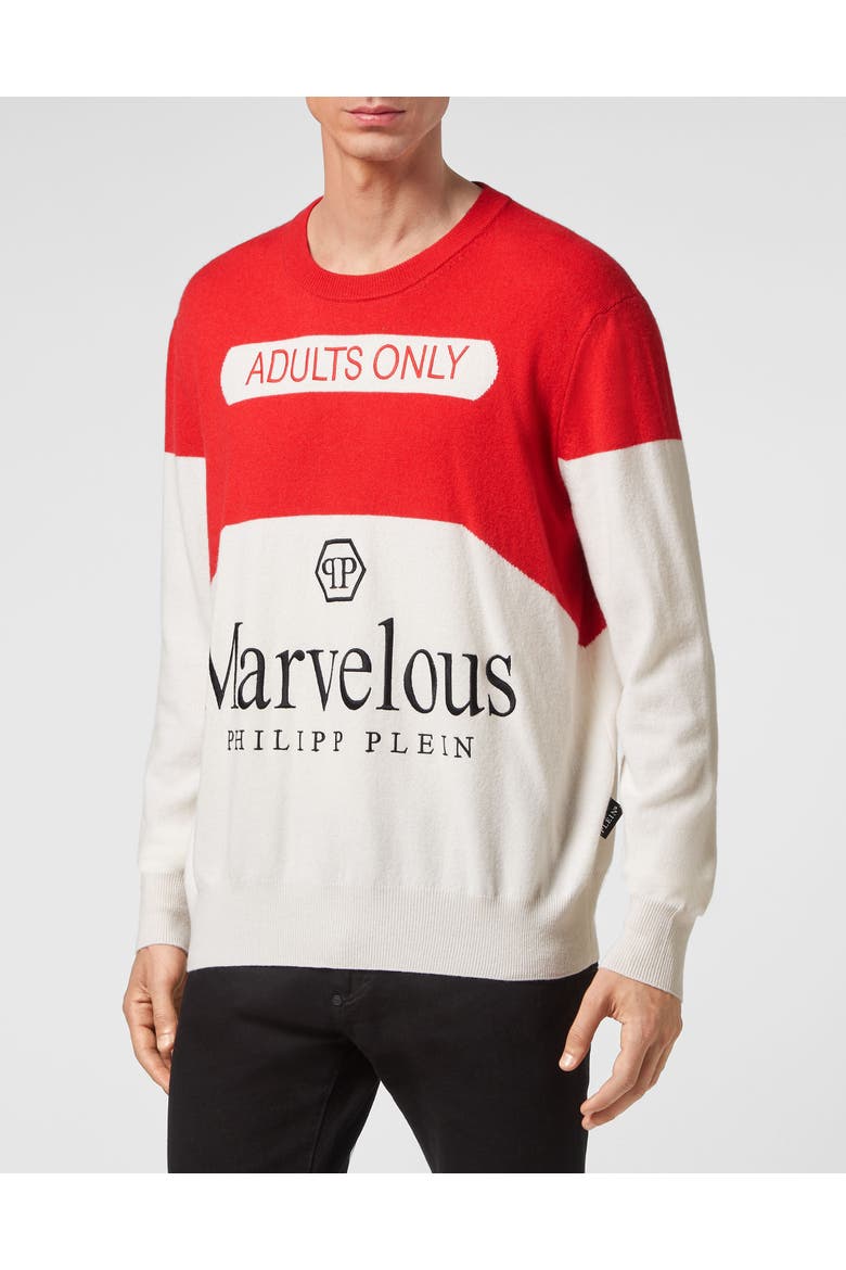 Pullover Round Neck Men, Main, color, white