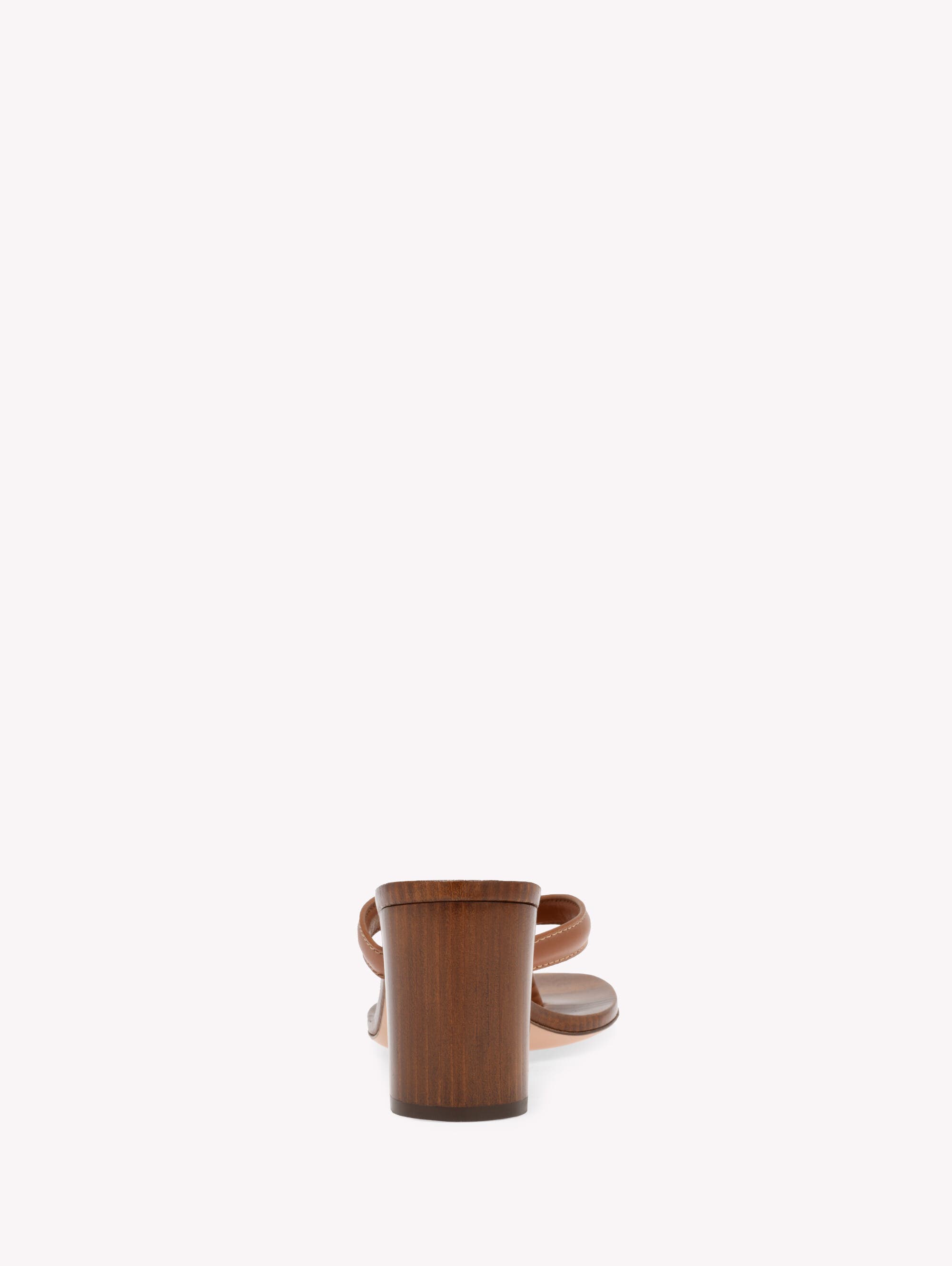 Gianvito Rossi Newport Thong, Alternate, color, Brown Leather