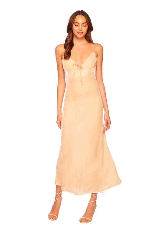 Susana Monaco Velvet Slipdress In Belgian Creme