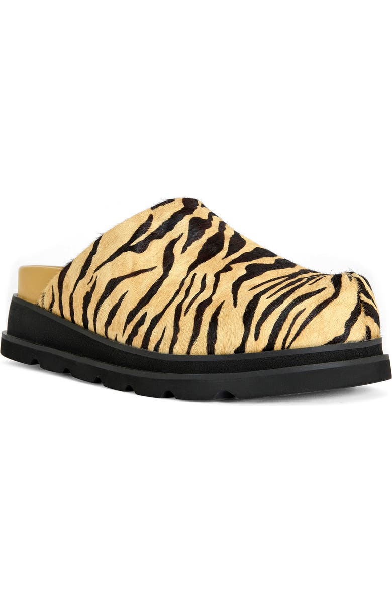 AZALEA WANG Sarinda Genuine Calf Hair Clog, Main, color,