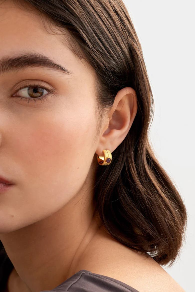 'February' Waterproof Gold Birthstone Hoop Earrings, Alternate, color, February