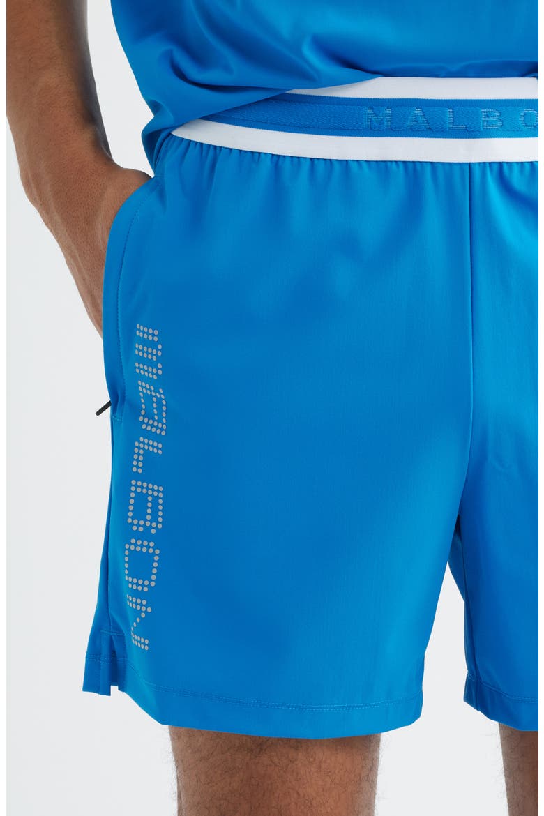 MRC Tech Water Repellent Running Shorts, Alternate, color, DIRECTOIRE BLUE