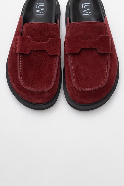 Forever & Always Shoes Laven Suede Leather Clogs In Burgundy Suede Leather