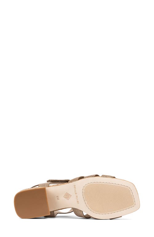 DONALD PLINER DONALD PLINER FALESIA BLOCK HEEL FISHERMAN SANDAL