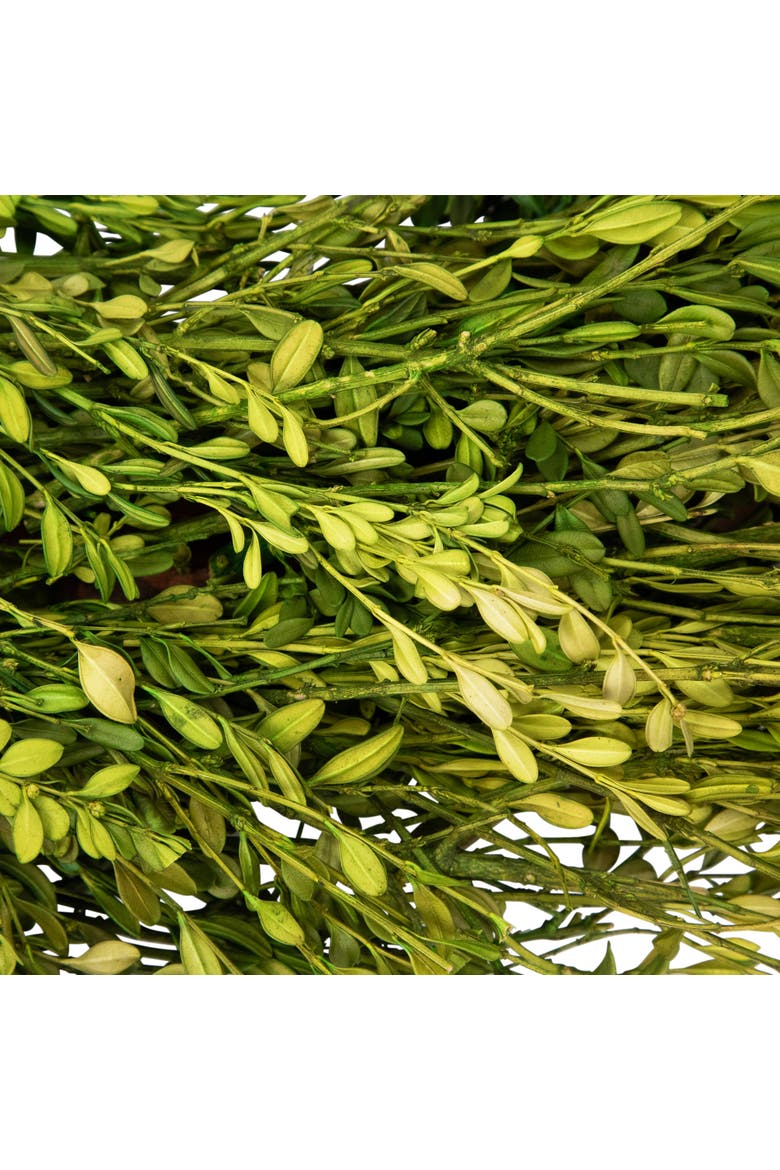 Green Foliage Artificial Spring Wreath - 20' - Unlit, Alternate, color, Green