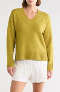 Melrose and Market V-Neck Long Sleeve Sweater
