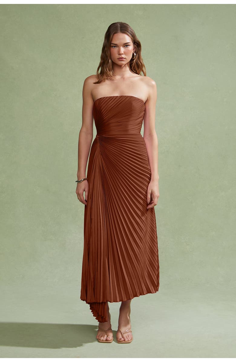 AMUR Everyn Pleated Gown, Main, color, Pink Clay