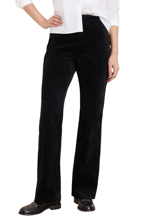 Berkeley Stretch Velvet Bootcut Pants