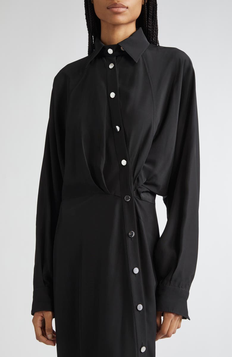 SPORTMAX Maranta Long Sleeve Maxi Shirtdress, Alternate, color, Black