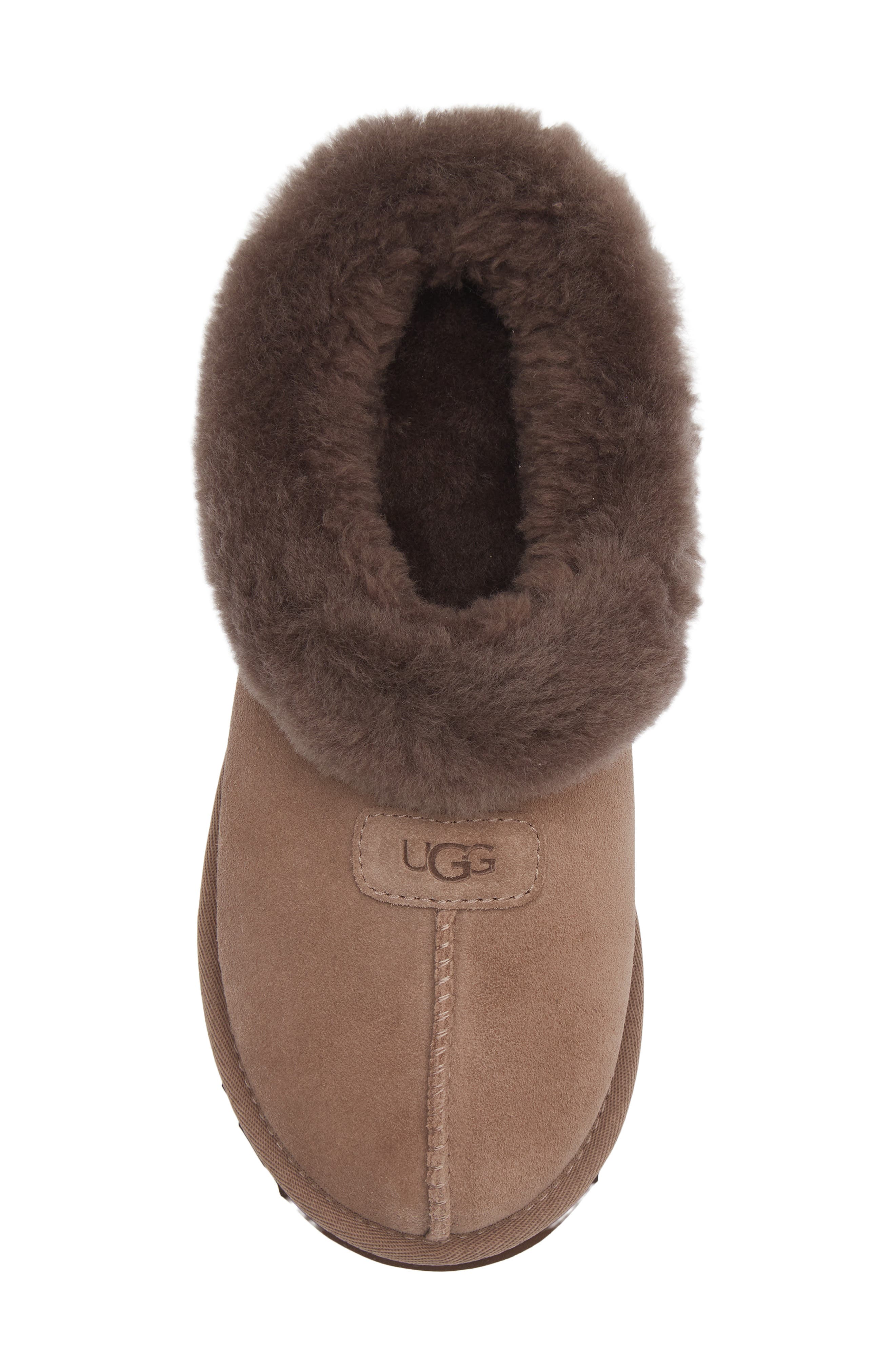 Женские тапочки UGG® Tazzette Genuine Shearling Collar Slipper — фото 5