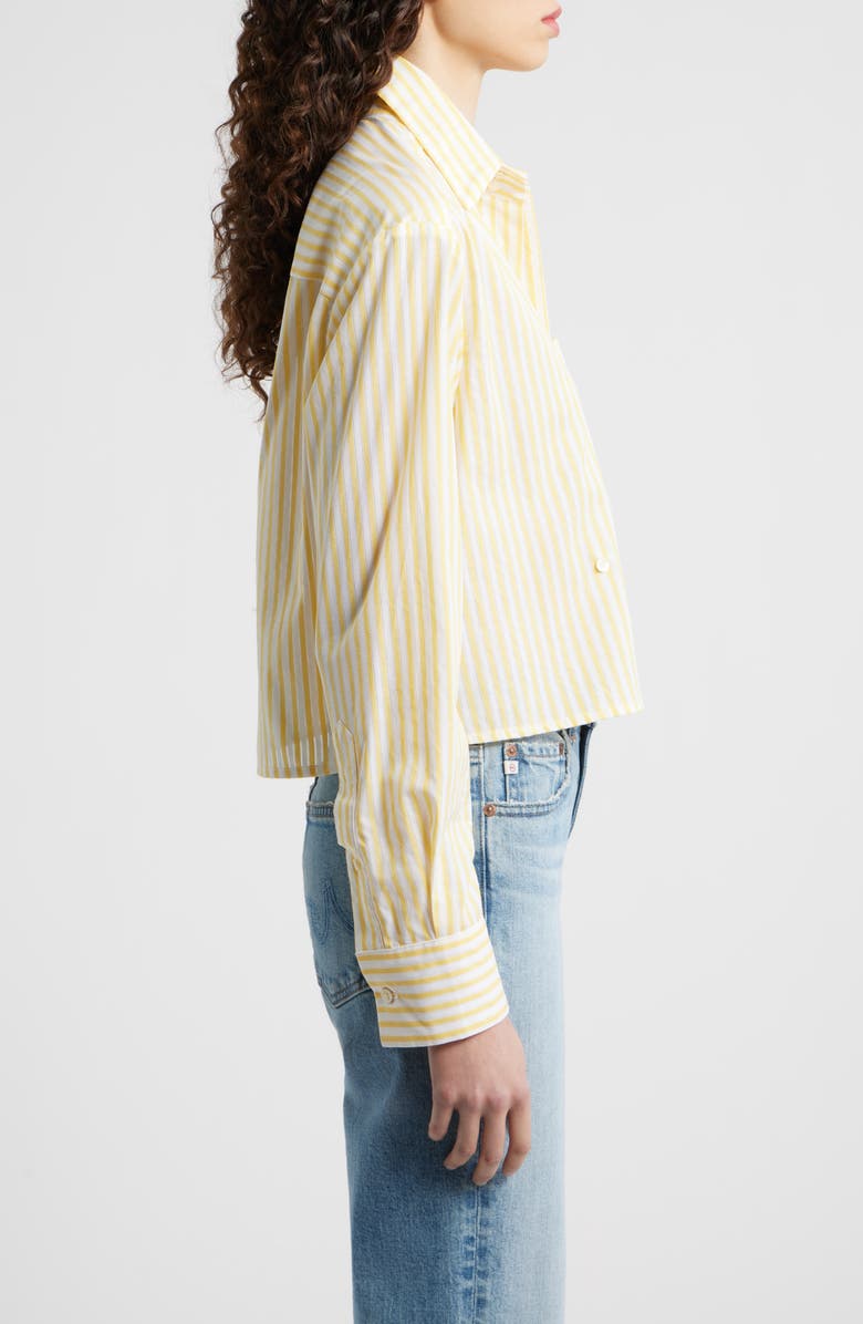 CISSA Stripe Asymmetric Cotton Button-Up Shirt, Alternate, color, Golden Needle
