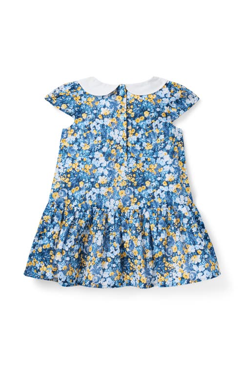 Janie And Jack Floral Dropwaist Dress In Blue