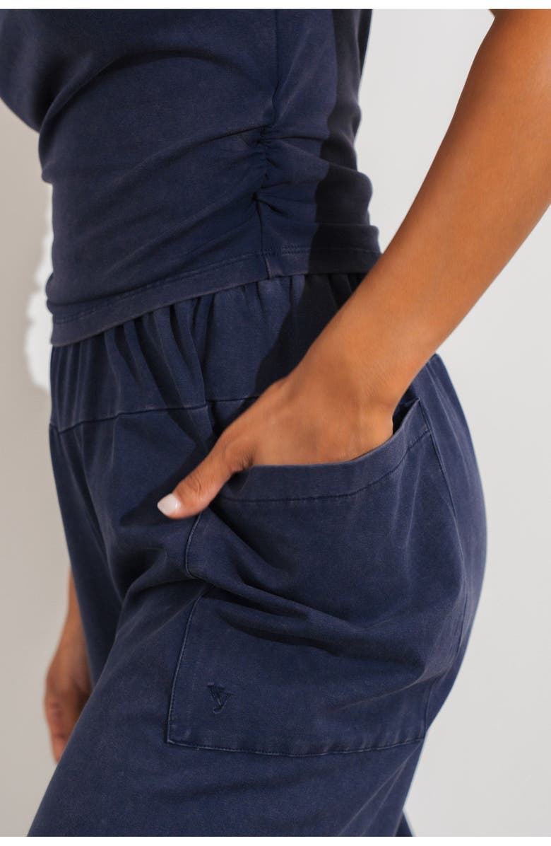 Vitality Essence Palazzo Pant, Alternate, color, Oxford