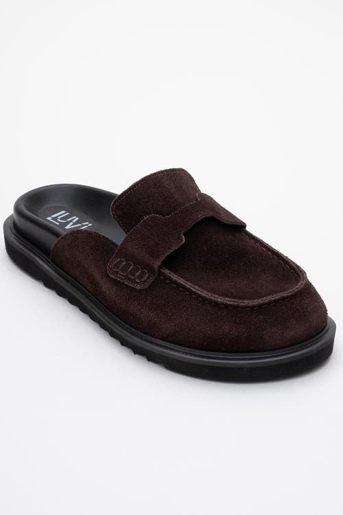 Forever & Always Shoes Laven Suede Leather Clogs In Brown