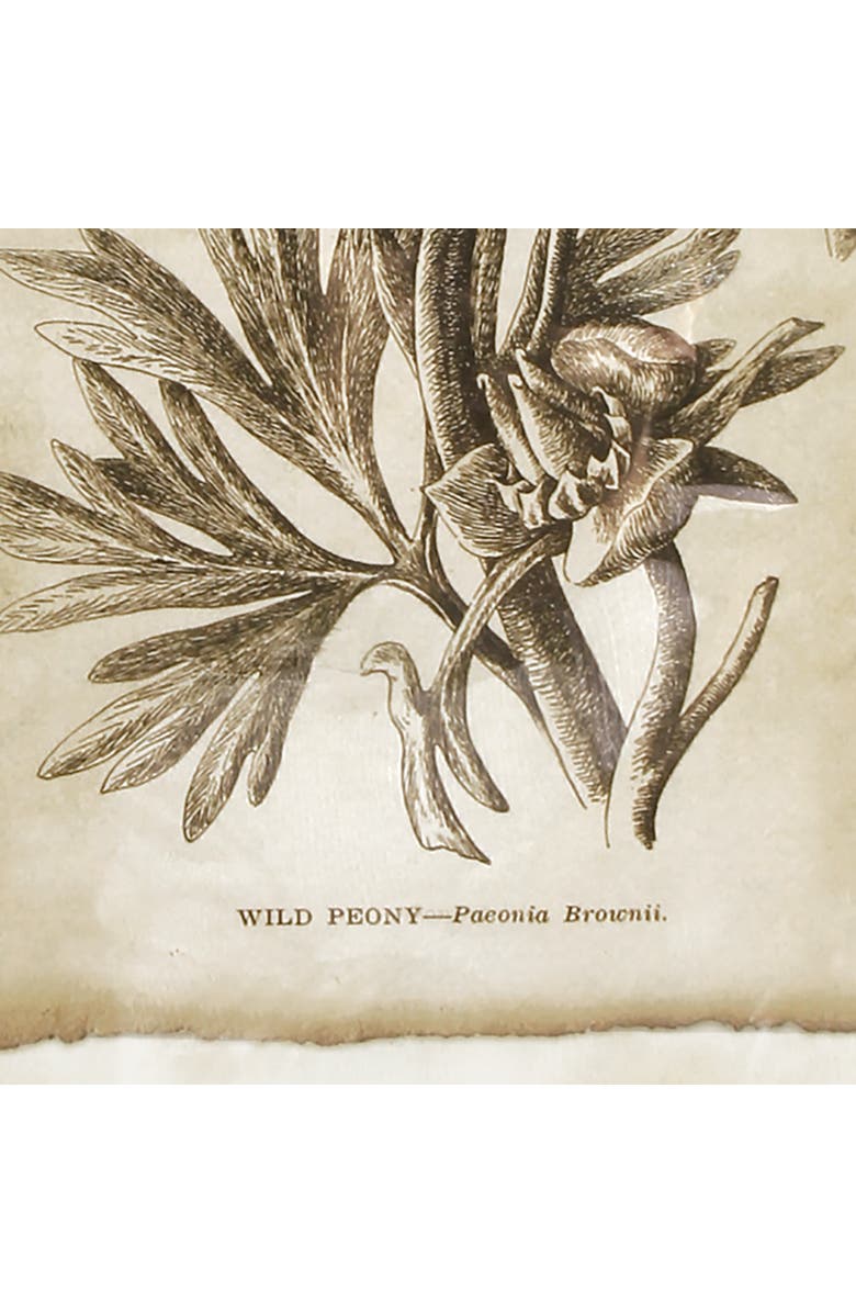 Napa Home & Garden Framed Vintage Floral Prints Set of 6, Alternate, color,