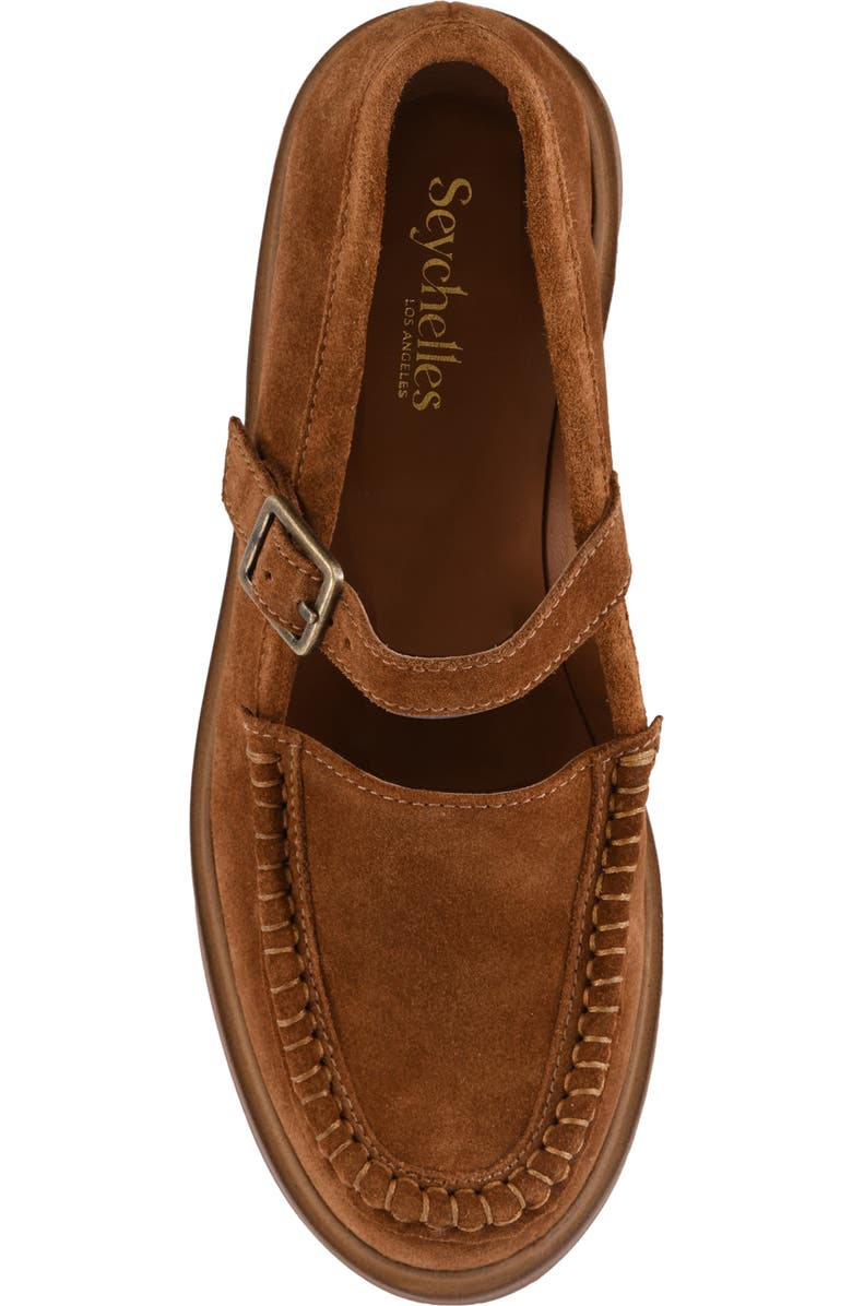 Seychelles Honeybunch Mary Jane, Alternate, color, Brown